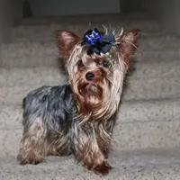 processed/131ff084-6f41-4943-813b-f993abf6c408/facility/9cf686fd-55a7-42f3-ace4-46f15e3dfd0a