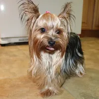 processed/131ff084-6f41-4943-813b-f993abf6c408/facility/9fa236fd-7432-48ac-9ee7-a7082d1a50c1