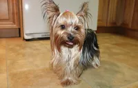 processed/131ff084-6f41-4943-813b-f993abf6c408/facility/9fa236fd-7432-48ac-9ee7-a7082d1a50c1