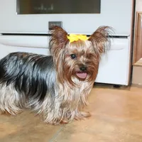 processed/131ff084-6f41-4943-813b-f993abf6c408/facility/abb74a6c-9102-4b97-8e90-e5009e36b72a