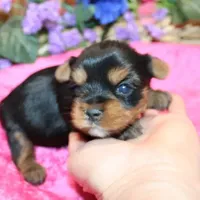 processed/131ff084-6f41-4943-813b-f993abf6c408/facility/b88ee82f-faa3-4864-85bf-8ca2cee5b008