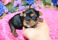 processed/131ff084-6f41-4943-813b-f993abf6c408/facility/b88ee82f-faa3-4864-85bf-8ca2cee5b008