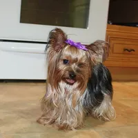 processed/131ff084-6f41-4943-813b-f993abf6c408/facility/c0ac461d-dd3a-483a-847c-6efddc5a5bc6