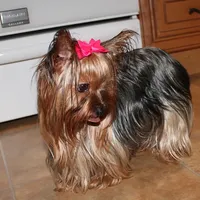 processed/131ff084-6f41-4943-813b-f993abf6c408/facility/cf92e5af-6ded-4032-8963-d025391efa5c