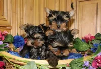 processed/131ff084-6f41-4943-813b-f993abf6c408/facility/e730e3d7-de65-4f36-a7d3-fcf2163b1a25