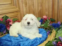 processed/131ff084-6f41-4943-813b-f993abf6c408/listing/baaca7f3-c4fa-45bb-94b0-f90275e3ce3c/0ed84b2f-a7df-4bc3-b955-df3df117109e