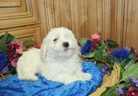 processed/131ff084-6f41-4943-813b-f993abf6c408/listing/baaca7f3-c4fa-45bb-94b0-f90275e3ce3c/1c73ffab-51a1-4499-9cb8-fad1c9621380