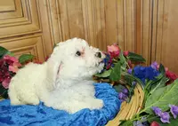 processed/131ff084-6f41-4943-813b-f993abf6c408/listing/baaca7f3-c4fa-45bb-94b0-f90275e3ce3c/6fa1e105-a5ab-4675-947a-6f16fcdba0a7