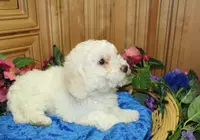 processed/131ff084-6f41-4943-813b-f993abf6c408/listing/baaca7f3-c4fa-45bb-94b0-f90275e3ce3c/b581b936-9da5-4c52-8b7a-23ec1bb4b1d1