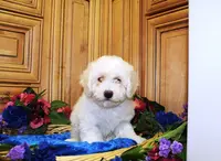 processed/131ff084-6f41-4943-813b-f993abf6c408/listing/c12a816f-7ce9-4d02-b837-b6555066f54e/260a39ae-40b3-4767-9cda-e7dc7ca6865f