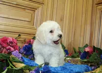 processed/131ff084-6f41-4943-813b-f993abf6c408/listing/c12a816f-7ce9-4d02-b837-b6555066f54e/6f61da3a-bc11-44ad-b2fa-3a48a25ac66f