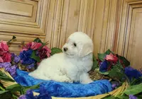 processed/131ff084-6f41-4943-813b-f993abf6c408/listing/c12a816f-7ce9-4d02-b837-b6555066f54e/b35c8025-eb8c-498a-9314-de8fb1cdccb9