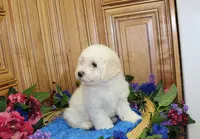 processed/131ff084-6f41-4943-813b-f993abf6c408/listing/c12a816f-7ce9-4d02-b837-b6555066f54e/d321f9cc-2536-4a9c-a8b0-3015ca47261d