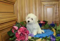 processed/131ff084-6f41-4943-813b-f993abf6c408/listing/c12a816f-7ce9-4d02-b837-b6555066f54e/f58e851d-a4fc-4e85-b415-17e1f9589114