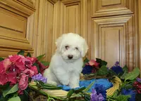 processed/131ff084-6f41-4943-813b-f993abf6c408/listing/c12a816f-7ce9-4d02-b837-b6555066f54e/ff95b1fe-e5c5-4d1f-ae7c-69790abcfd37