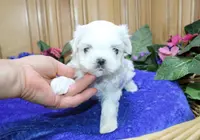 processed/131ff084-6f41-4943-813b-f993abf6c408/listing/c6401fea-3384-4088-8600-e92a3078535b/1966ba49-b80a-4832-b7ee-3752a594cfb3