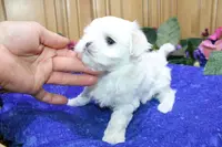 processed/131ff084-6f41-4943-813b-f993abf6c408/listing/c6401fea-3384-4088-8600-e92a3078535b/387b1492-8d2f-4ac9-ad67-1ae0c00ab1c3