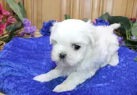 processed/131ff084-6f41-4943-813b-f993abf6c408/listing/c6401fea-3384-4088-8600-e92a3078535b/3e59050d-5b40-414c-aae6-673c699c5de5