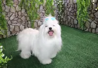 processed/131ff084-6f41-4943-813b-f993abf6c408/listing/c6401fea-3384-4088-8600-e92a3078535b/4652d816-3995-436f-806c-d8200dca7391