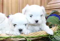 processed/131ff084-6f41-4943-813b-f993abf6c408/listing/c6401fea-3384-4088-8600-e92a3078535b/5fe04905-591d-4619-b5d2-72b5cb740b22