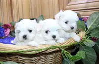 processed/131ff084-6f41-4943-813b-f993abf6c408/listing/c6401fea-3384-4088-8600-e92a3078535b/b0c6d224-4f6e-4664-a704-65575ad07355