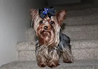 processed/131ff084-6f41-4943-813b-f993abf6c408/listing/e55a5808-5dd3-4cc3-a37c-f59205fcb5f3/334a967b-86e4-4c71-b36d-21572da9da47