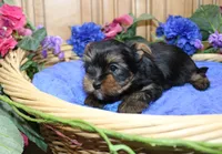 processed/131ff084-6f41-4943-813b-f993abf6c408/listing/e55a5808-5dd3-4cc3-a37c-f59205fcb5f3/8b07e4f2-097b-4f52-b6cb-e6568ac14431