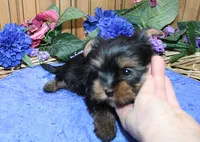 processed/131ff084-6f41-4943-813b-f993abf6c408/listing/e55a5808-5dd3-4cc3-a37c-f59205fcb5f3/975167a0-bba3-4914-9133-c33a4dca57fd