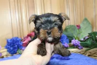 processed/131ff084-6f41-4943-813b-f993abf6c408/listing/e55a5808-5dd3-4cc3-a37c-f59205fcb5f3/97f2a5de-1db8-41e2-bfef-cfe30248e17f