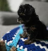 processed/1320e927-5771-4012-8040-2e6462f4c60b/listing/d2de2b00-447e-4fd4-af25-31c89d3a361a/24ab425d-c7cb-460c-83ce-e678291cb754