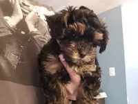 processed/1320e927-5771-4012-8040-2e6462f4c60b/listing/d2de2b00-447e-4fd4-af25-31c89d3a361a/67566597-8a42-4b17-bd97-f915f0e25161