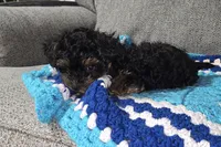 processed/1320e927-5771-4012-8040-2e6462f4c60b/listing/d2de2b00-447e-4fd4-af25-31c89d3a361a/897f59b6-80eb-4942-ac71-25b9c1431724