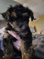 processed/1320e927-5771-4012-8040-2e6462f4c60b/listing/d2de2b00-447e-4fd4-af25-31c89d3a361a/8cfae2d3-7095-487b-8541-d1cee1641201