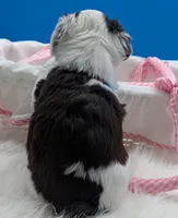 processed/132397d5-65b5-40a1-b322-288739e70eb9/listing/a047b6d1-97a3-499c-94ef-f3870c545b5f/64d5f841-f47d-4afb-8a8e-36225b929894