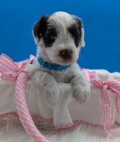 processed/132397d5-65b5-40a1-b322-288739e70eb9/listing/a047b6d1-97a3-499c-94ef-f3870c545b5f/82319fc2-7f79-4a87-ab18-b508503a08c1