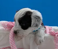 processed/132397d5-65b5-40a1-b322-288739e70eb9/listing/a047b6d1-97a3-499c-94ef-f3870c545b5f/c37ccde2-d5fd-4dc3-8db2-fa048dda490a