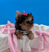 processed/132397d5-65b5-40a1-b322-288739e70eb9/listing/af481510-1e2f-4727-a902-638da5899737/12d015d5-2e17-4e69-b1cd-23138cd8acf8