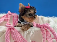 processed/132397d5-65b5-40a1-b322-288739e70eb9/listing/af481510-1e2f-4727-a902-638da5899737/bab71277-4a2f-4f4d-8477-b45e0e645819