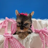 processed/132397d5-65b5-40a1-b322-288739e70eb9/listing/af481510-1e2f-4727-a902-638da5899737/fe5b2429-0cc3-4407-bcb0-f40767490814