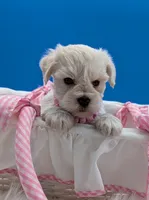 processed/132397d5-65b5-40a1-b322-288739e70eb9/listing/e7aaeff4-93b0-428e-889a-e362011a2c4b/1c180f5b-1bf9-43a4-a94a-8d4159b285e6