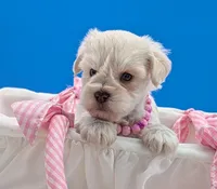 processed/132397d5-65b5-40a1-b322-288739e70eb9/listing/e7aaeff4-93b0-428e-889a-e362011a2c4b/a6f2eb91-d9f6-496b-936d-fa5d59655383