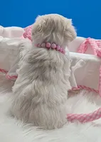 processed/132397d5-65b5-40a1-b322-288739e70eb9/listing/e7aaeff4-93b0-428e-889a-e362011a2c4b/f9e49e61-6bbd-454b-8a34-f1846df8ddab