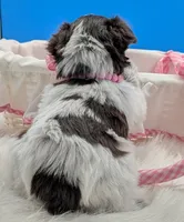 processed/132397d5-65b5-40a1-b322-288739e70eb9/listing/f5b04447-28a6-4181-92bc-f3400aa032e1/41b4ccfc-d626-4b94-a6ed-9946554d35aa