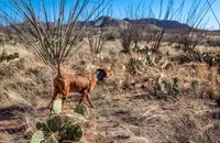 processed/132554e9-53bc-435e-aa36-297d32656ebc/listing/03d54ad5-1e33-4f39-8207-47aafe123664/6ae9371e-6350-44ac-aec4-2f37599650e3