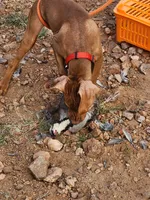 processed/132554e9-53bc-435e-aa36-297d32656ebc/listing/03d54ad5-1e33-4f39-8207-47aafe123664/9eac877c-69d8-4201-9940-5b3007dcc248