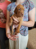 processed/132554e9-53bc-435e-aa36-297d32656ebc/listing/03d54ad5-1e33-4f39-8207-47aafe123664/a3820f69-d11e-4d01-bd06-7c74bed5b71a