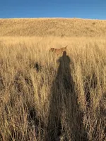 processed/132554e9-53bc-435e-aa36-297d32656ebc/listing/03d54ad5-1e33-4f39-8207-47aafe123664/bcb2531a-8c24-45fa-893e-682c7061e6a7