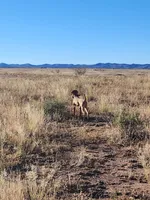 processed/132554e9-53bc-435e-aa36-297d32656ebc/listing/03d54ad5-1e33-4f39-8207-47aafe123664/cdb78946-3b66-4440-9d7f-9841e4abf8af