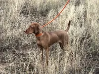 processed/132554e9-53bc-435e-aa36-297d32656ebc/listing/03d54ad5-1e33-4f39-8207-47aafe123664/d70af985-1229-429f-88ac-fdf56cd63123