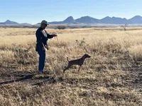 processed/132554e9-53bc-435e-aa36-297d32656ebc/listing/03d54ad5-1e33-4f39-8207-47aafe123664/fd4d1908-1a21-4907-a1da-fae87b1d0306